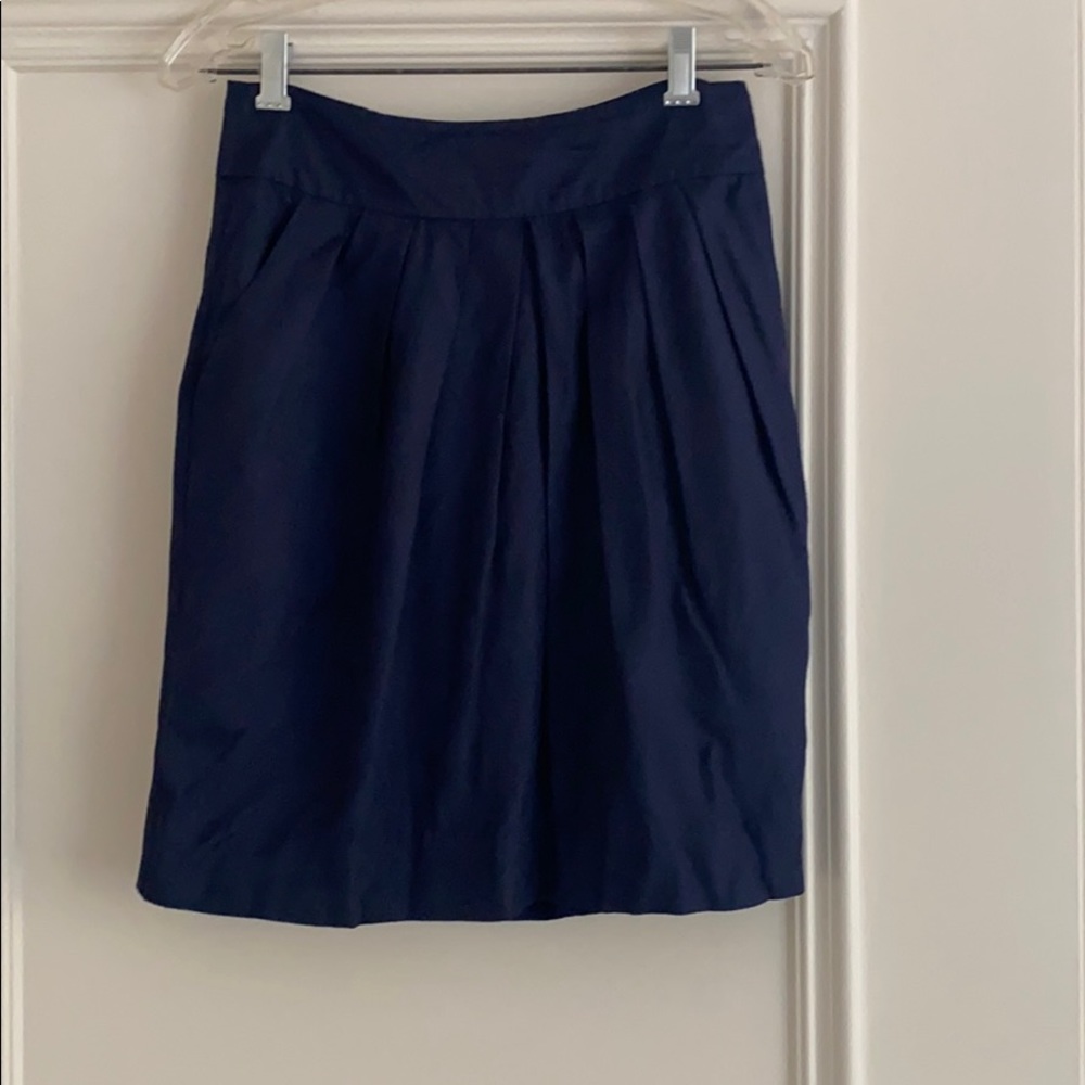 Anthropologie navy skirt